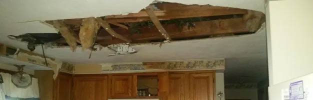 emergenecy electrical services